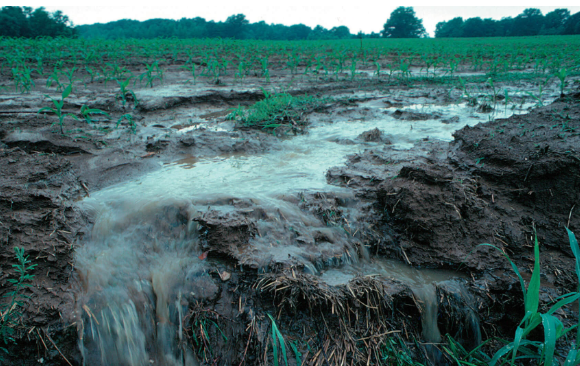 washing it away 26 Wash it Away