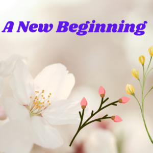 A New Beginning