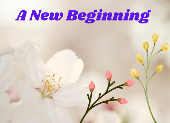 A new beginning 26 A New Beginning