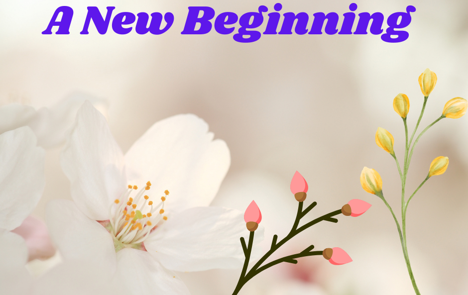 A New Beginning