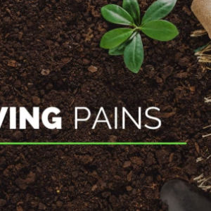 Growing Pains